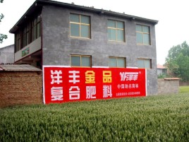 绥江如何让墙体广告展现最大化效果