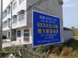绥江墙体广告质量分析