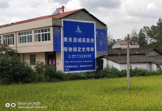 绥江决定墙体广告价格的因素有哪些?